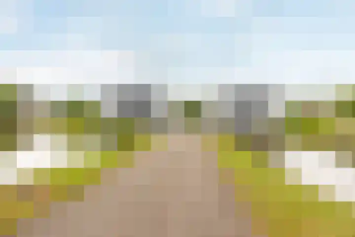 Hommelweg 2 R 677 Susteren thumbnail 4