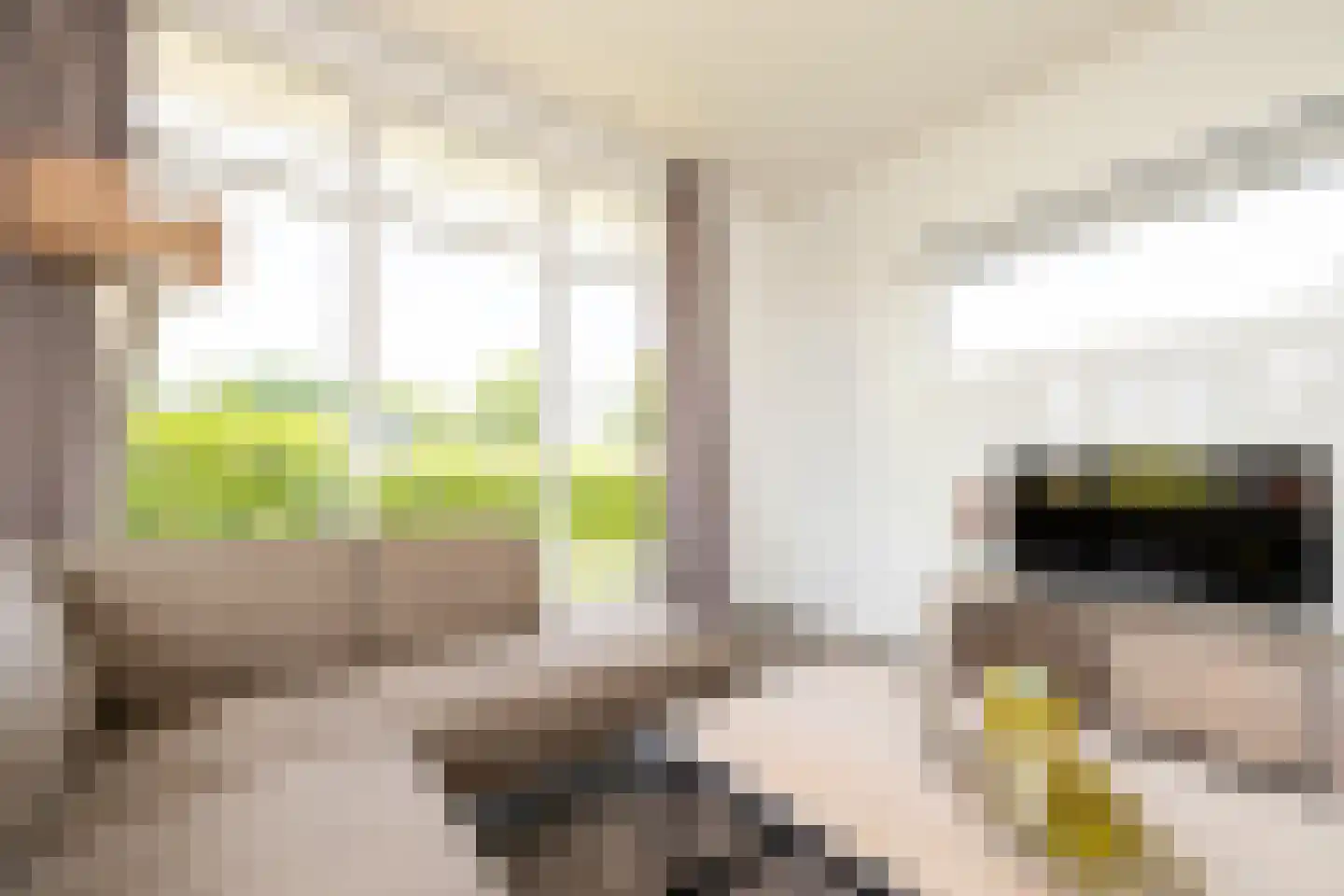 Hommelweg 2 R 684 Susteren thumbnail 8