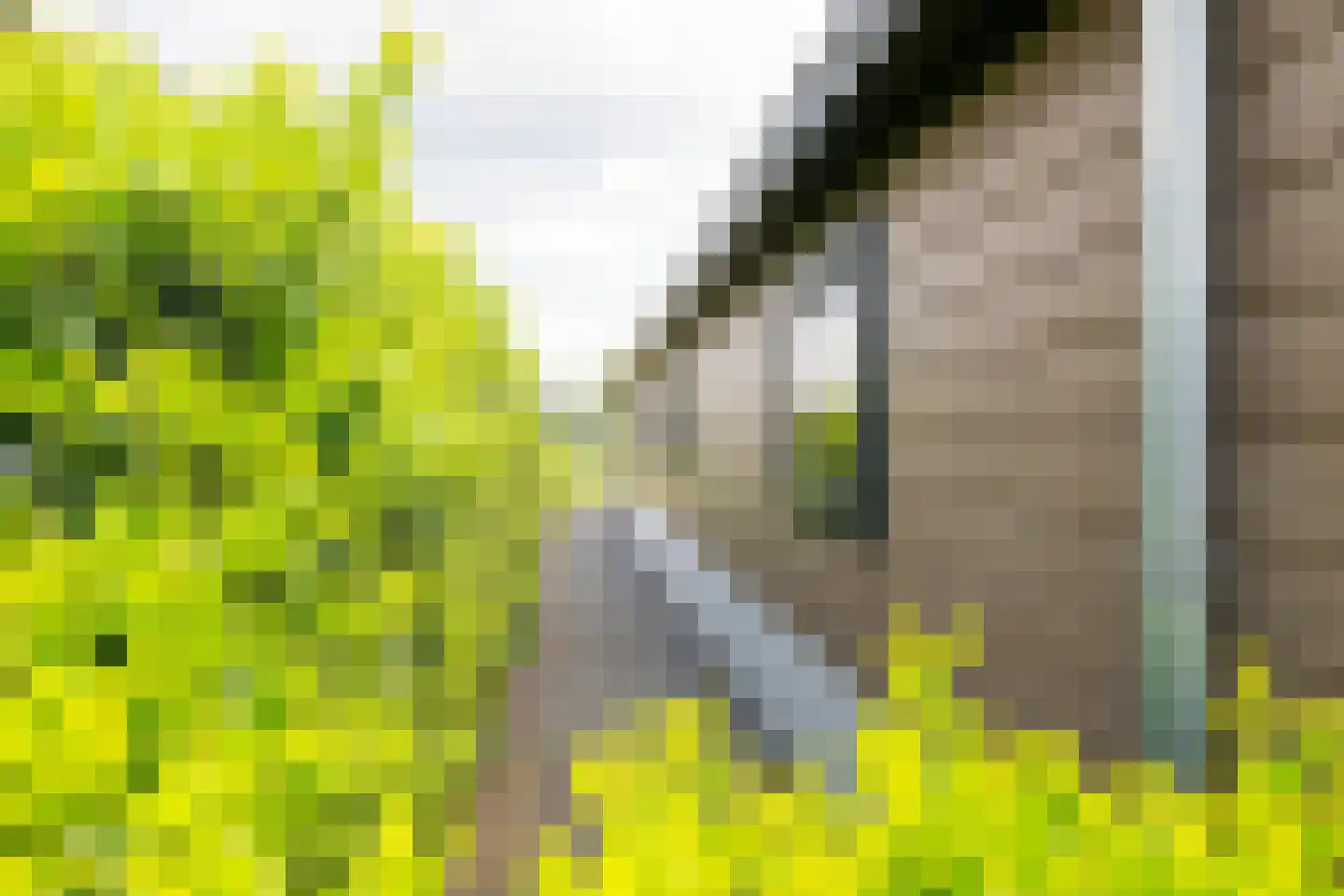 Hommelweg 2 R 693 Susteren thumbnail 19