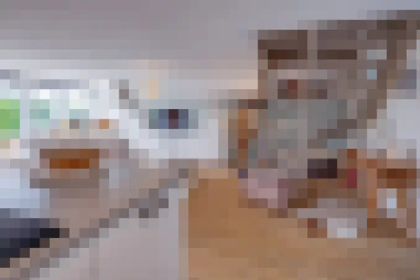 Hommelweg 2 R 704 Susteren thumbnail 16