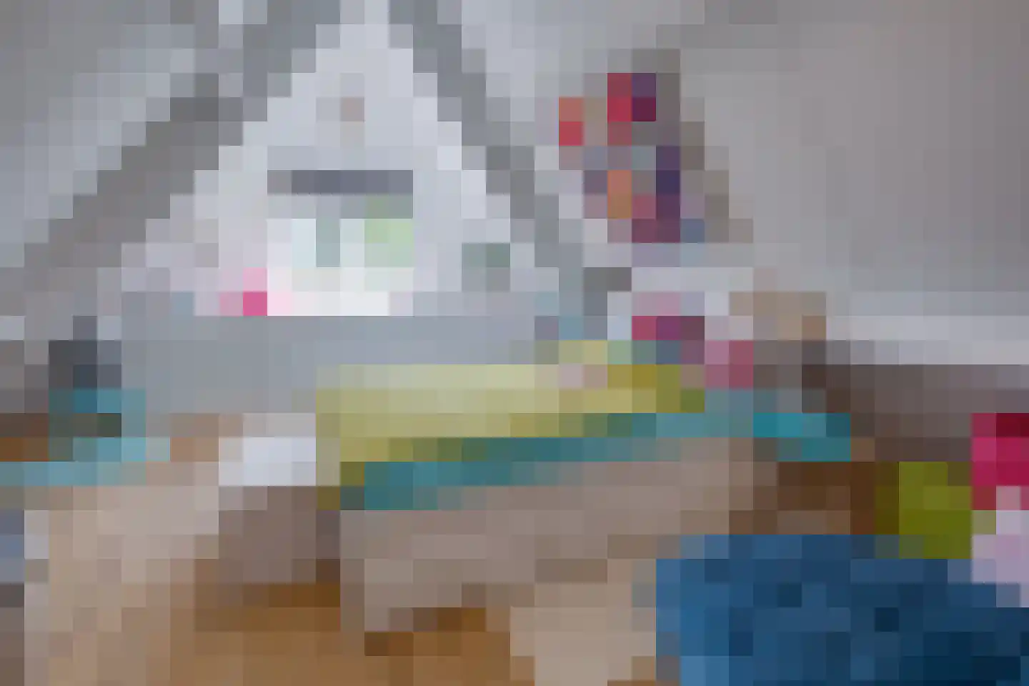 Hommelweg 2 R 704 Susteren thumbnail 18