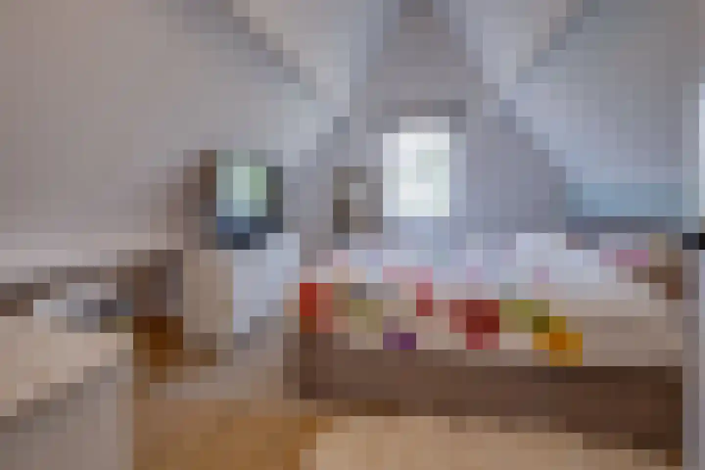 Hommelweg 2 R 704 Susteren thumbnail 22