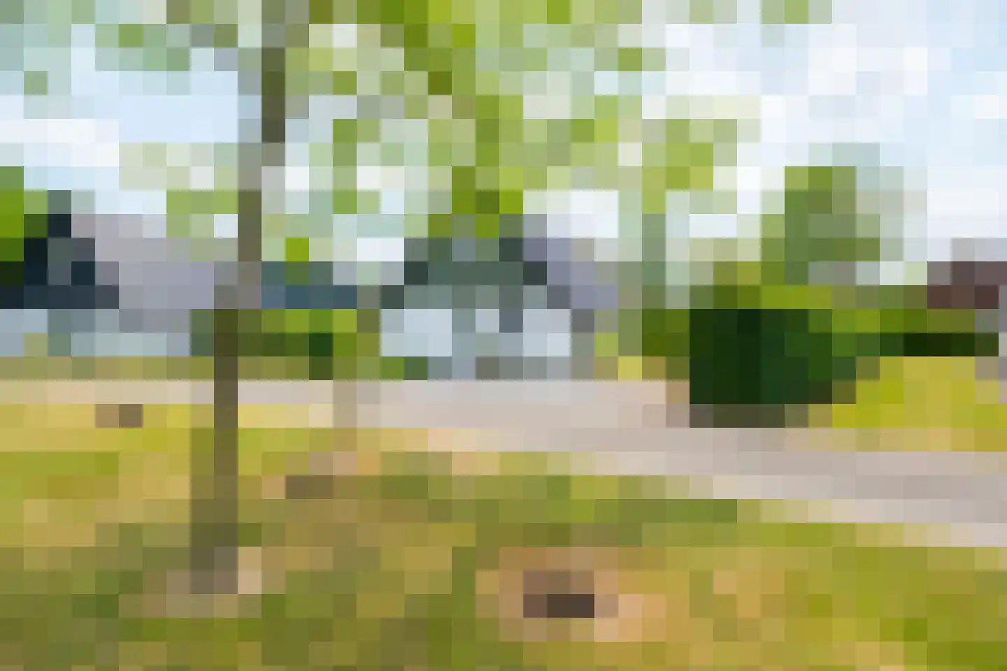 Hommelweg 2 R 704 Susteren thumbnail 29