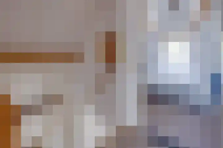 Hommelweg 2 R 707 Susteren thumbnail 23