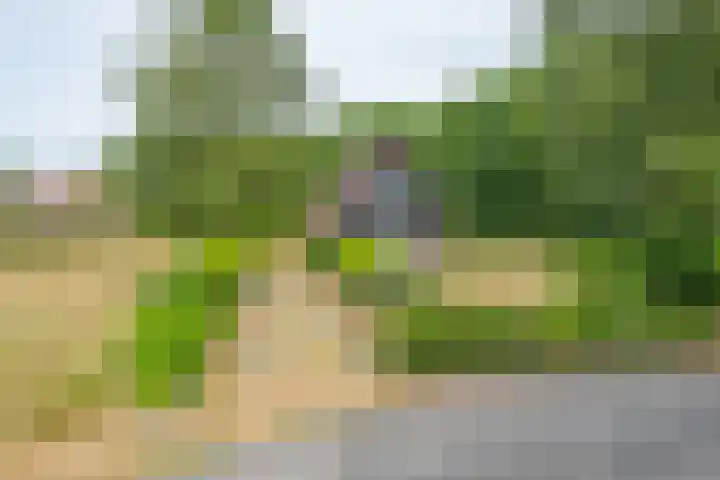 Hommelweg 2 R 707 Susteren thumbnail 24