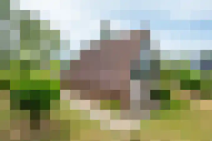 Hommelweg 2 R 707 Susteren thumbnail 26
