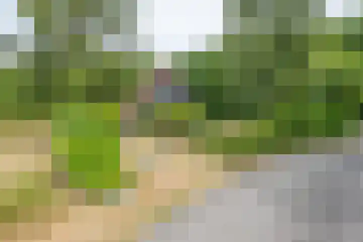 Hommelweg 2 R 707 Susteren thumbnail 27