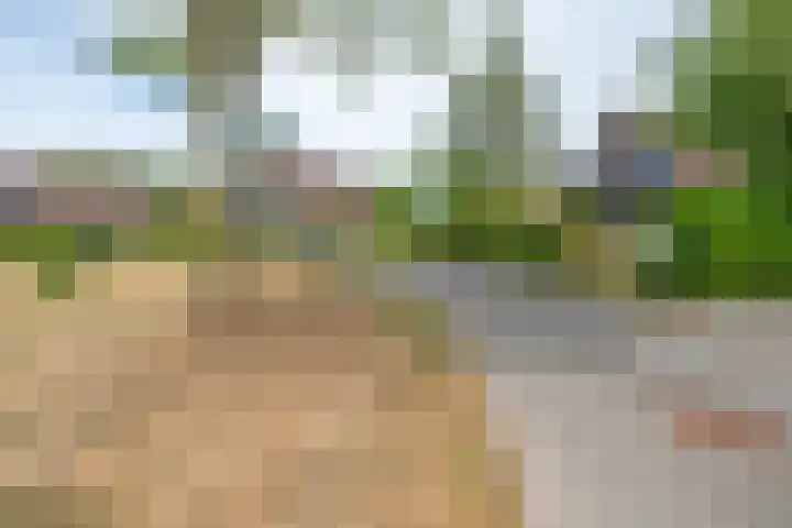Hommelweg 2 R 707 Susteren thumbnail 28