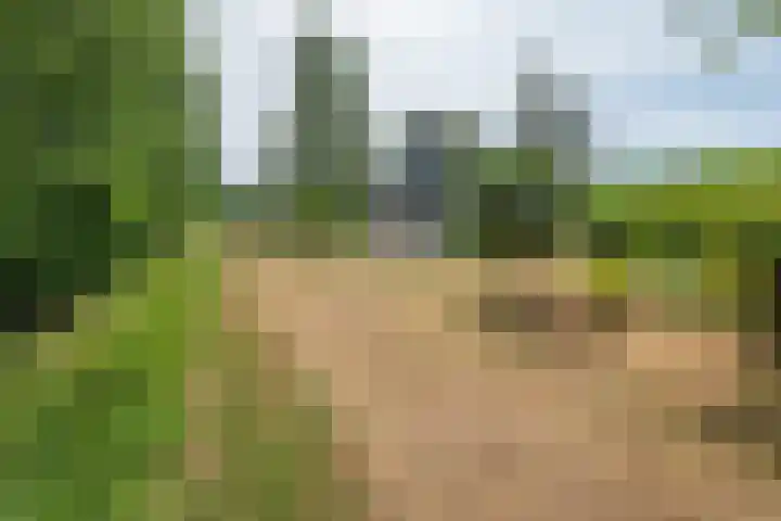 Hommelweg 2 R 707 Susteren thumbnail 29