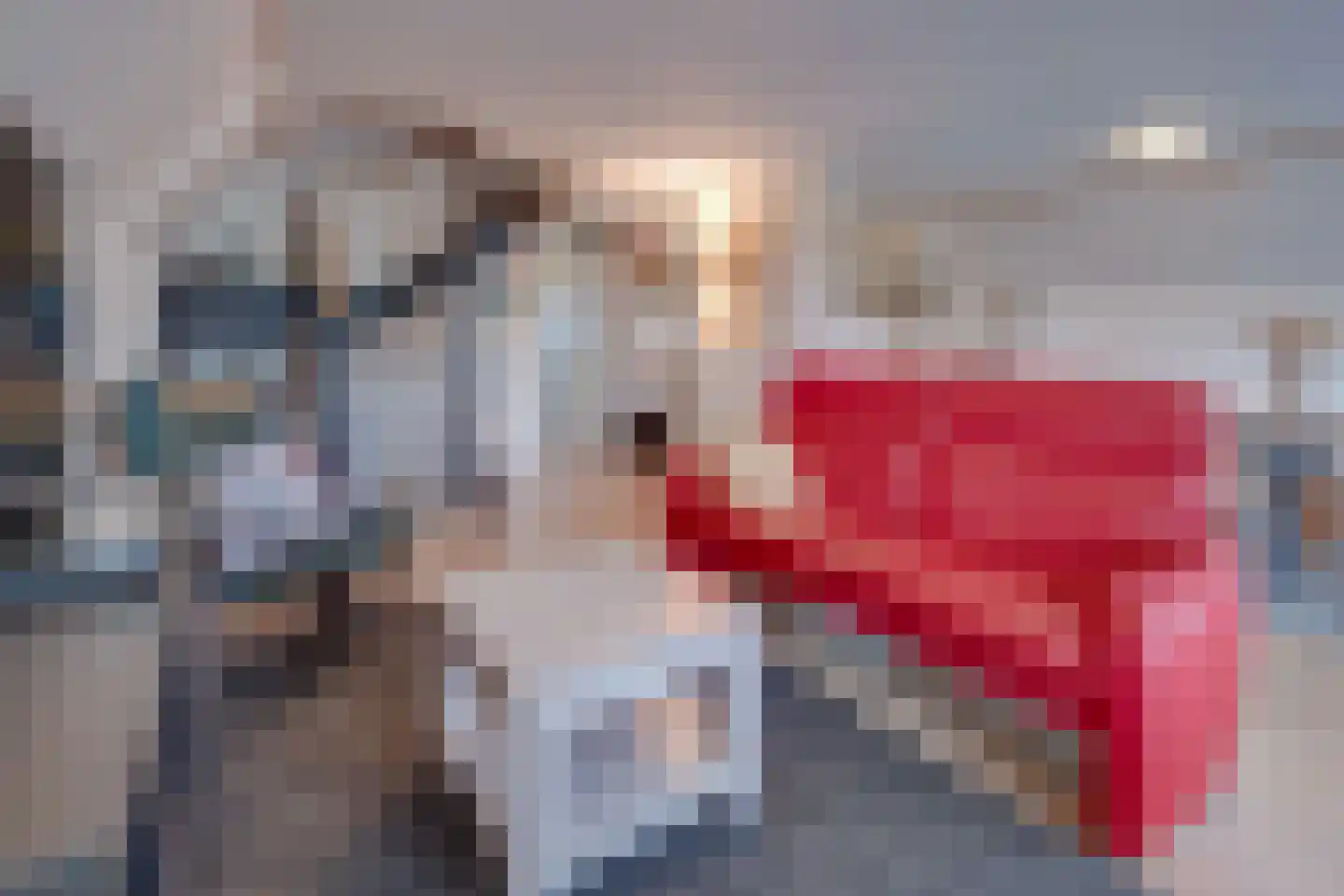 Hommelweg 2 R 714 Susteren thumbnail 15