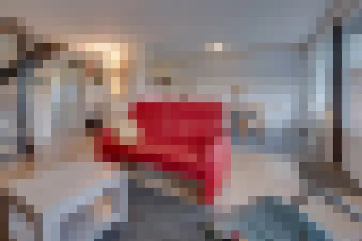 Hommelweg 2 R 714 Susteren thumbnail 16