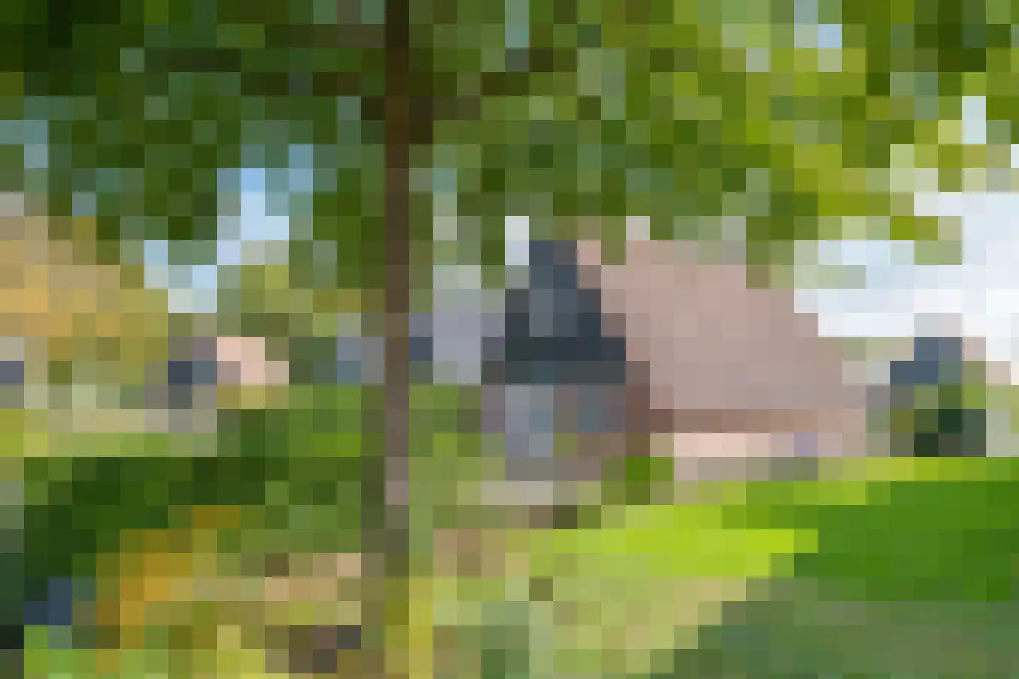 Hommelweg 2 R 714 Susteren thumbnail 38