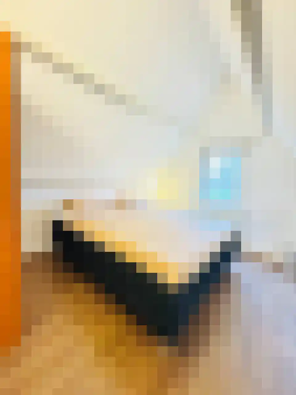 Hommelweg 2 R 715 Susteren thumbnail 9