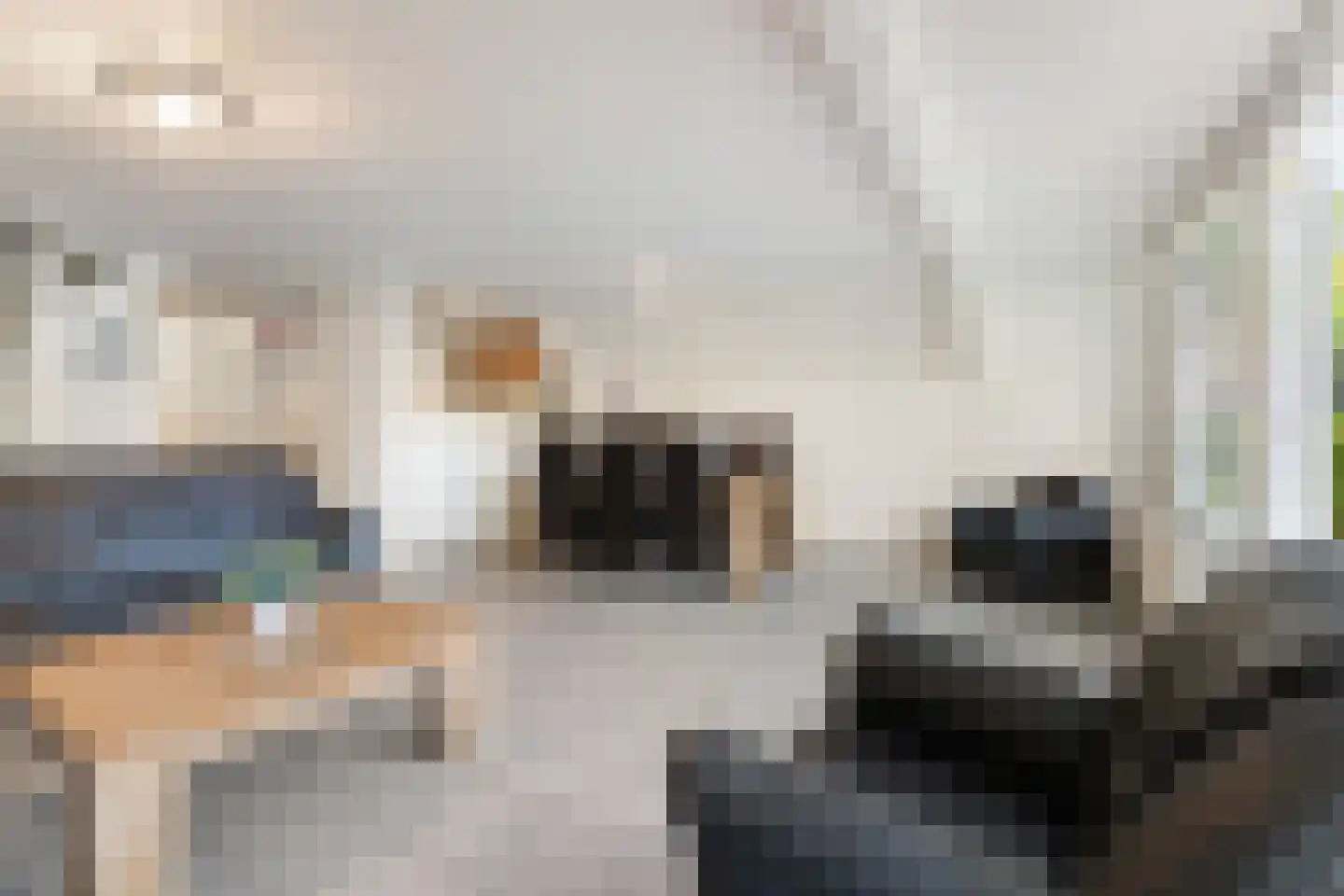 Hommelweg 2 R 725 Susteren thumbnail 10