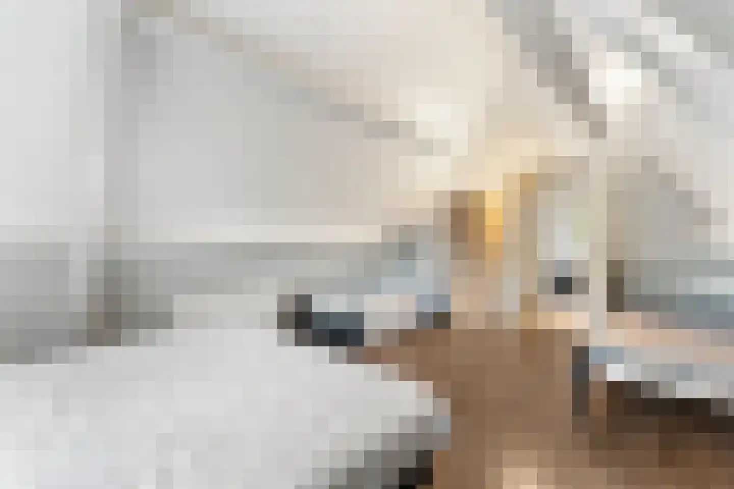 Hommelweg 2 R 725 Susteren thumbnail 22