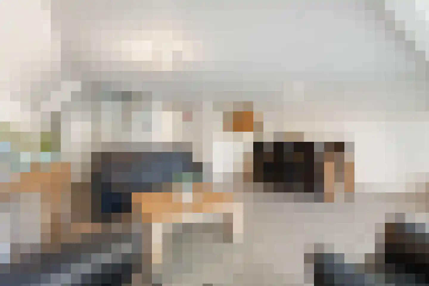 Hommelweg 2 R 725 Susteren thumbnail 9