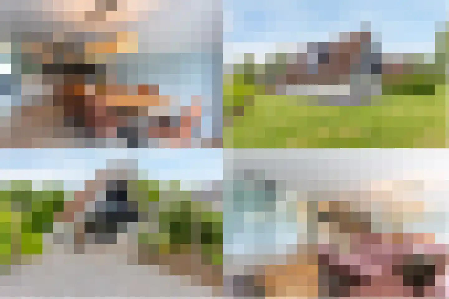 Hommelweg 2 R 744 Susteren thumbnail 4