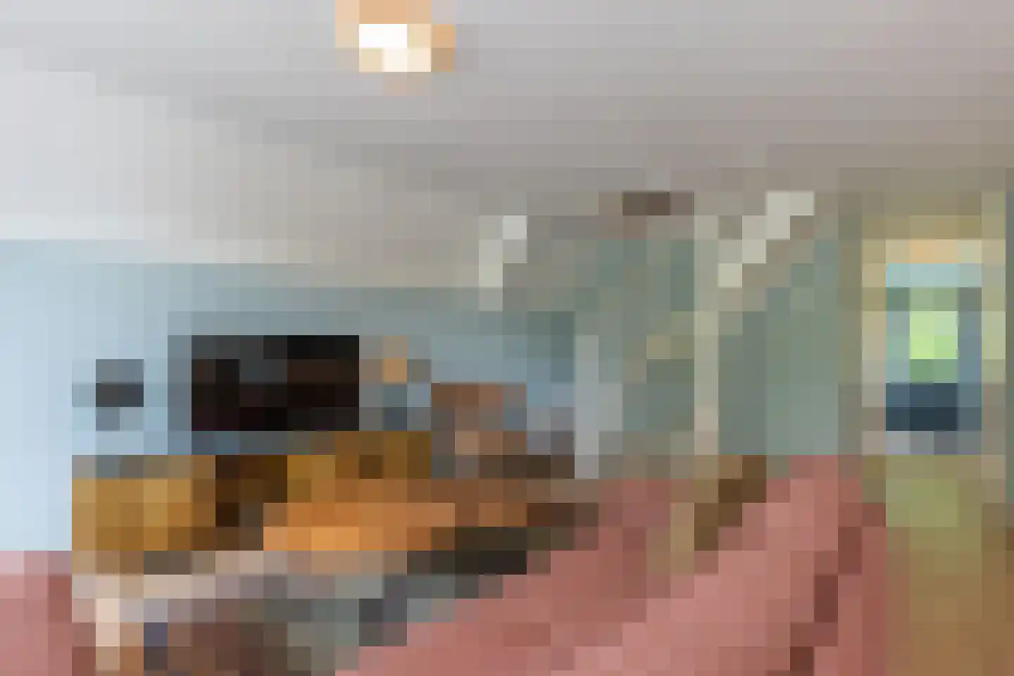Hommelweg 2 R 745 Susteren thumbnail 16