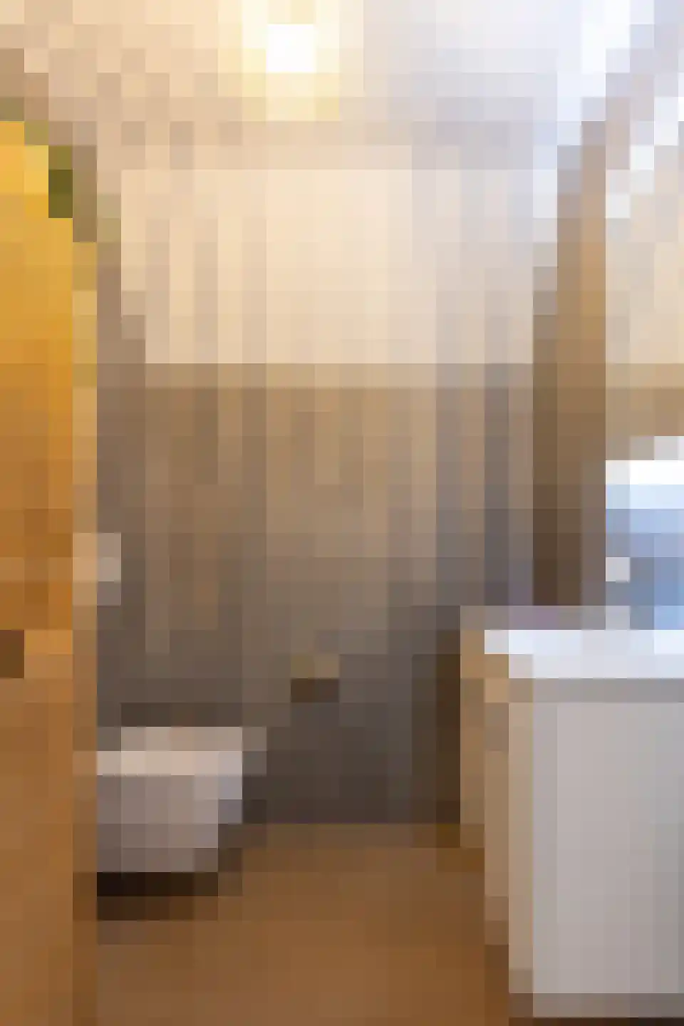 Hommelweg 2 R 747 Susteren thumbnail 21