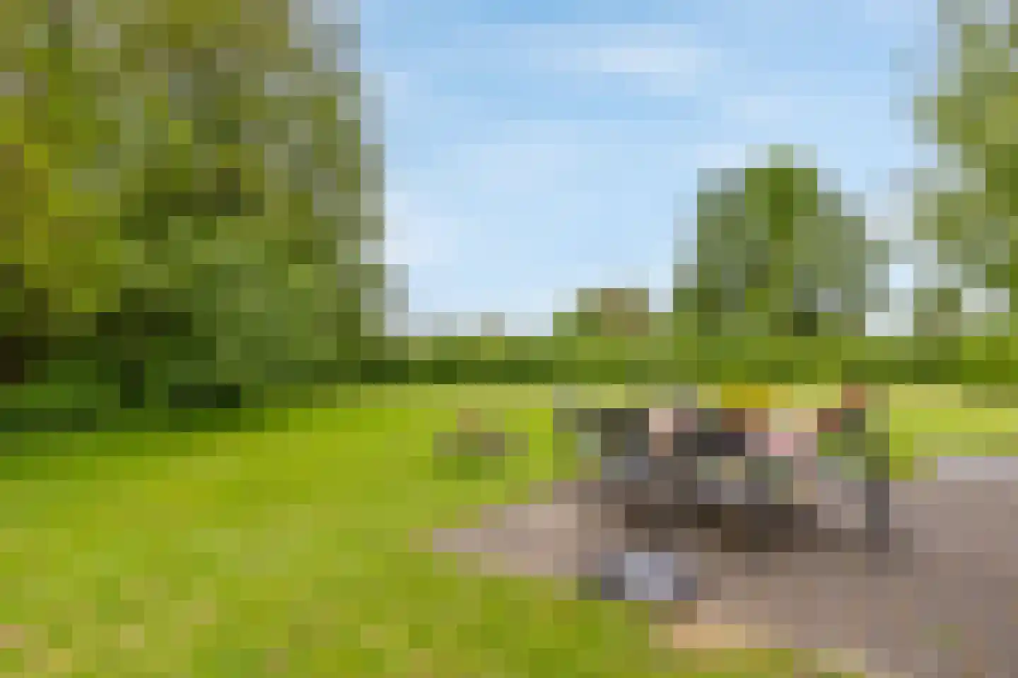 Hommelweg 2 R 747 Susteren thumbnail 24