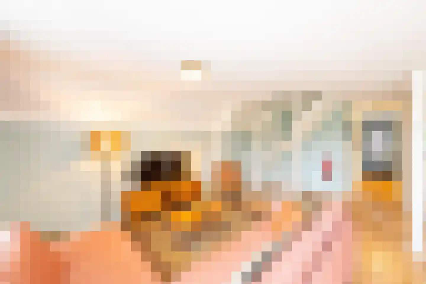 Hommelweg 2 R 757 Susteren thumbnail 5