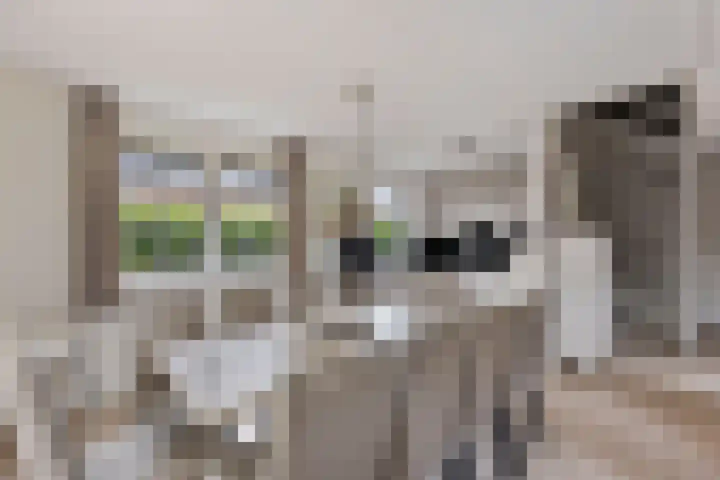 Hommelweg 2 R 814 Susteren thumbnail 14