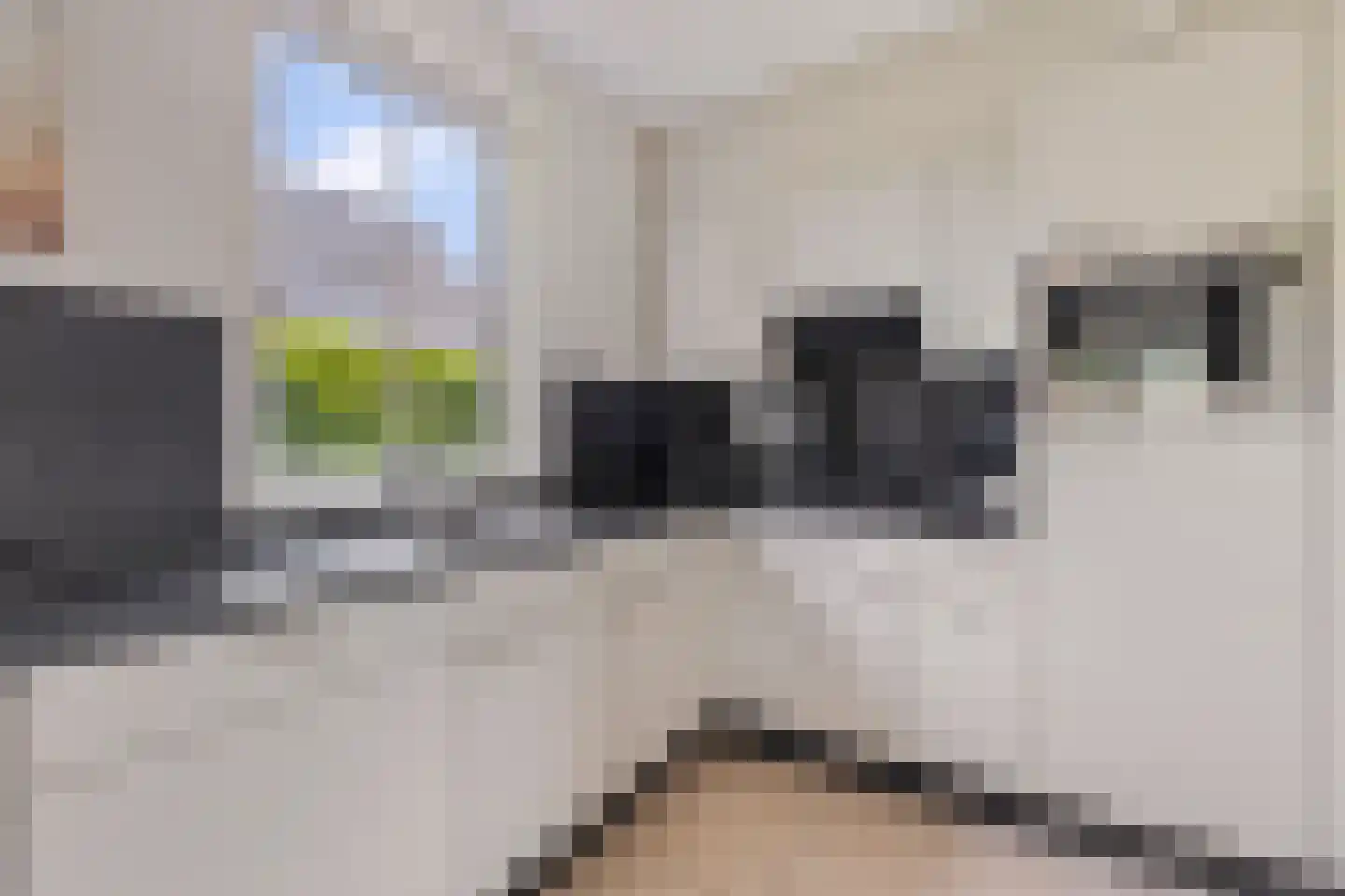 Hommelweg 2 R 814 Susteren thumbnail 15