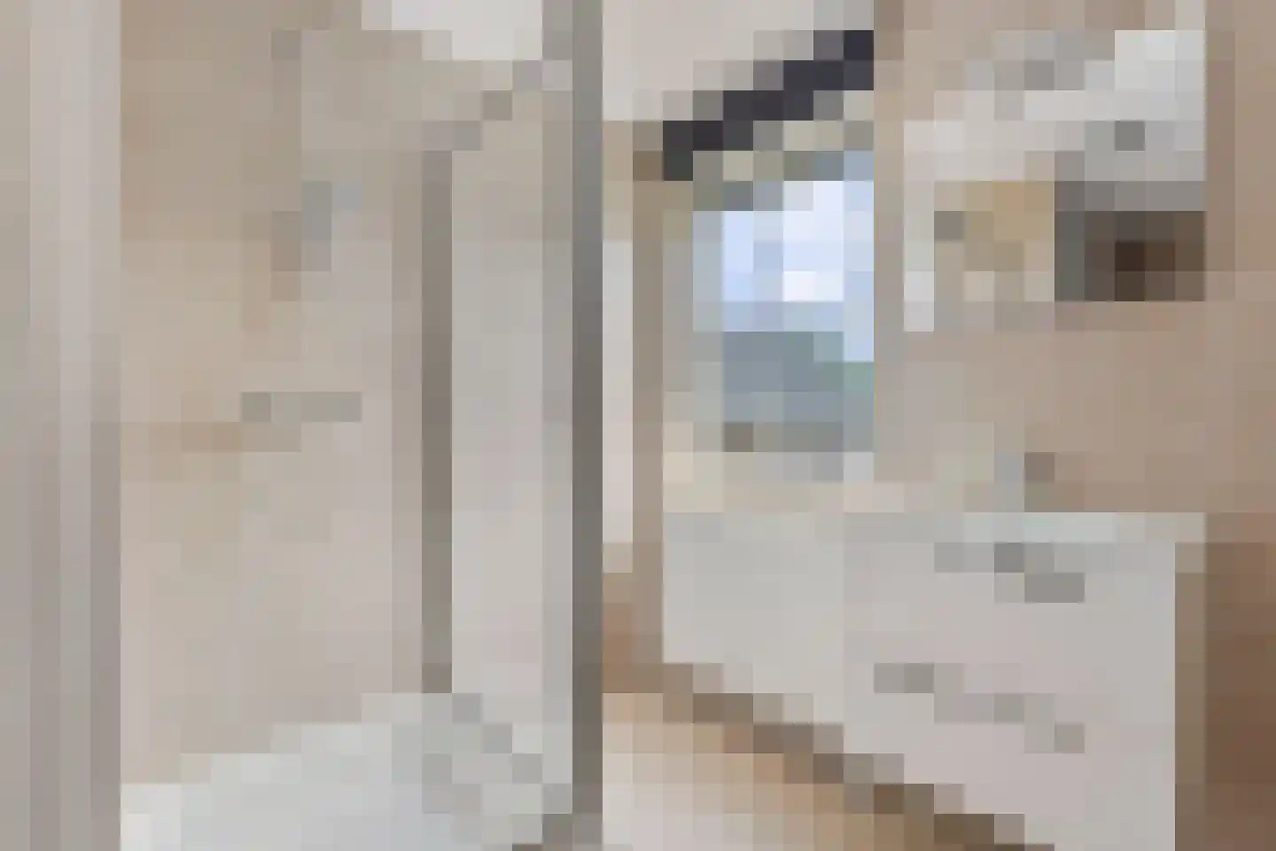 Hommelweg 2 R 814 Susteren thumbnail 24