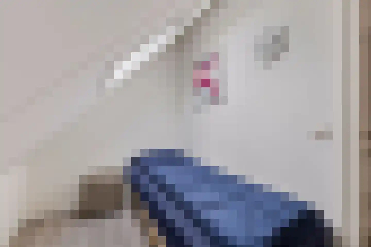 Hommelweg 2 R 814 Susteren thumbnail 28