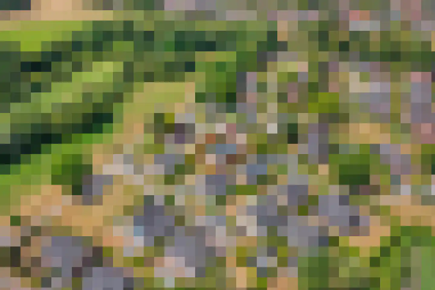 Hommelweg 2 R 814 Susteren thumbnail 34