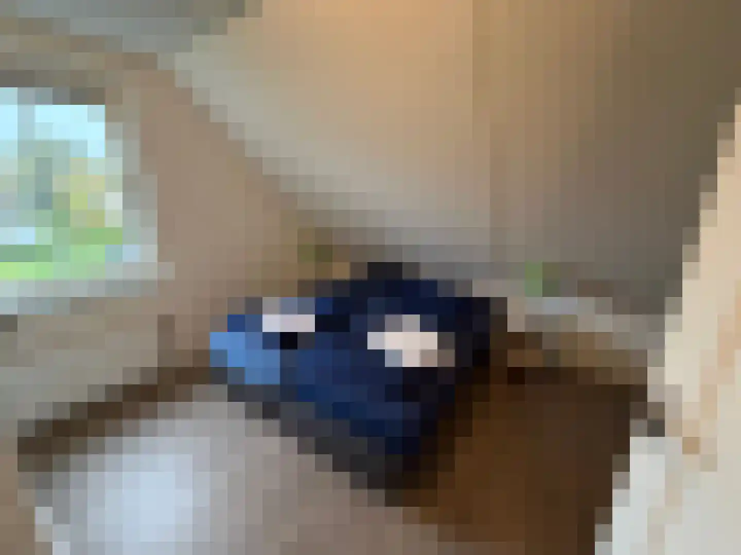 Hommelweg 2 R 816 Susteren thumbnail 17