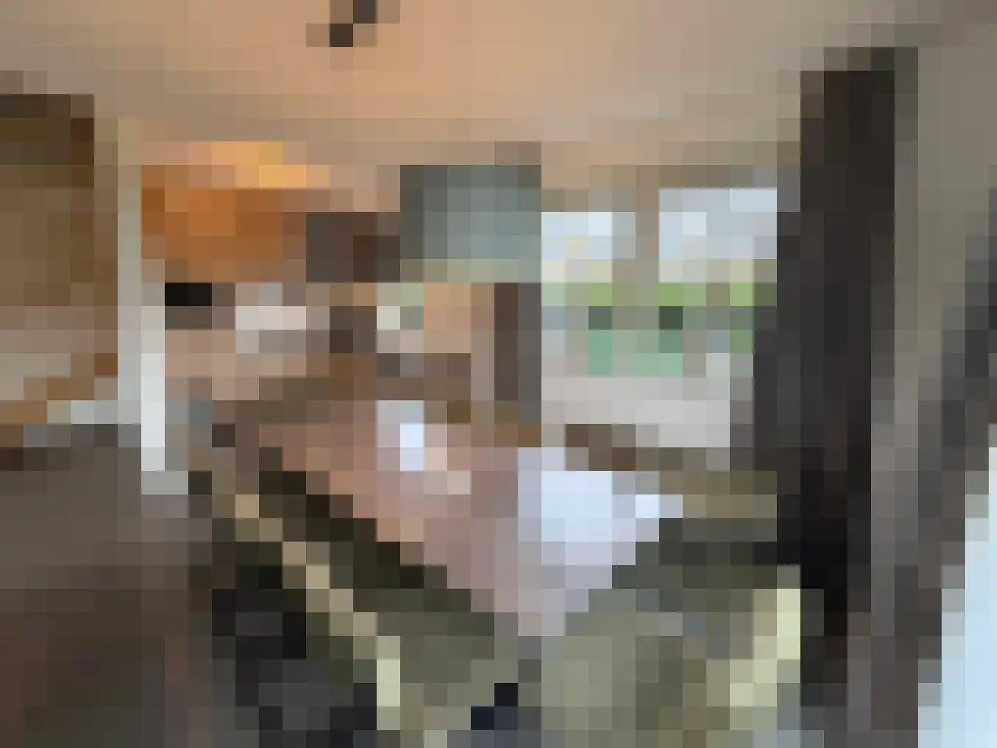 Hommelweg 2 R 816 Susteren thumbnail 6