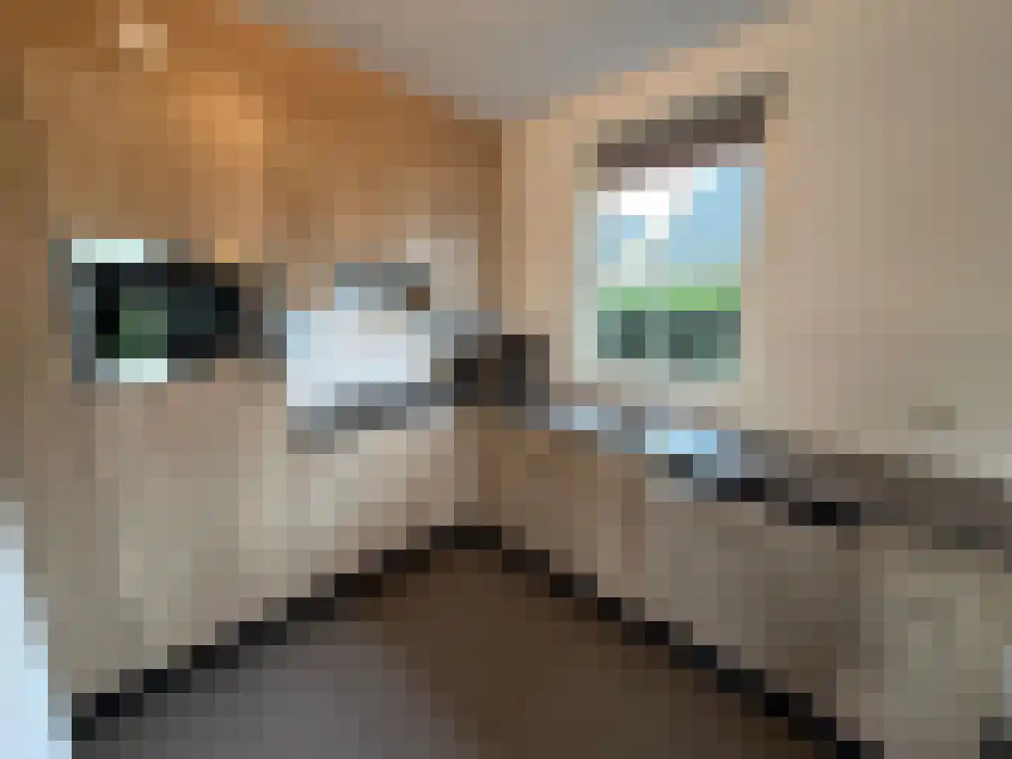 Hommelweg 2 R 816 Susteren thumbnail 7