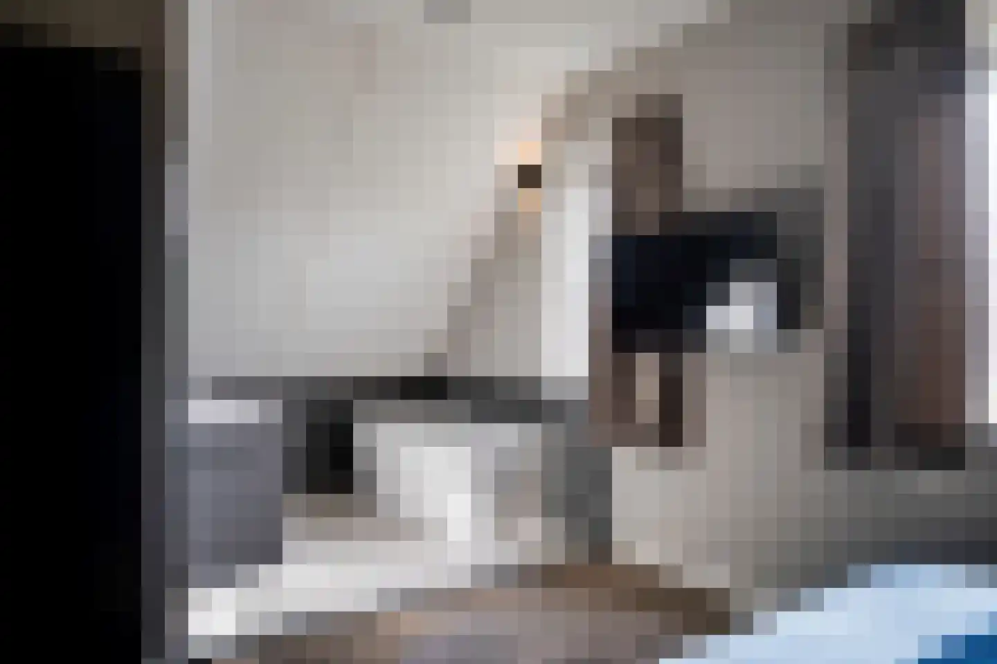 Hommelweg 2 R 832 Susteren thumbnail 5