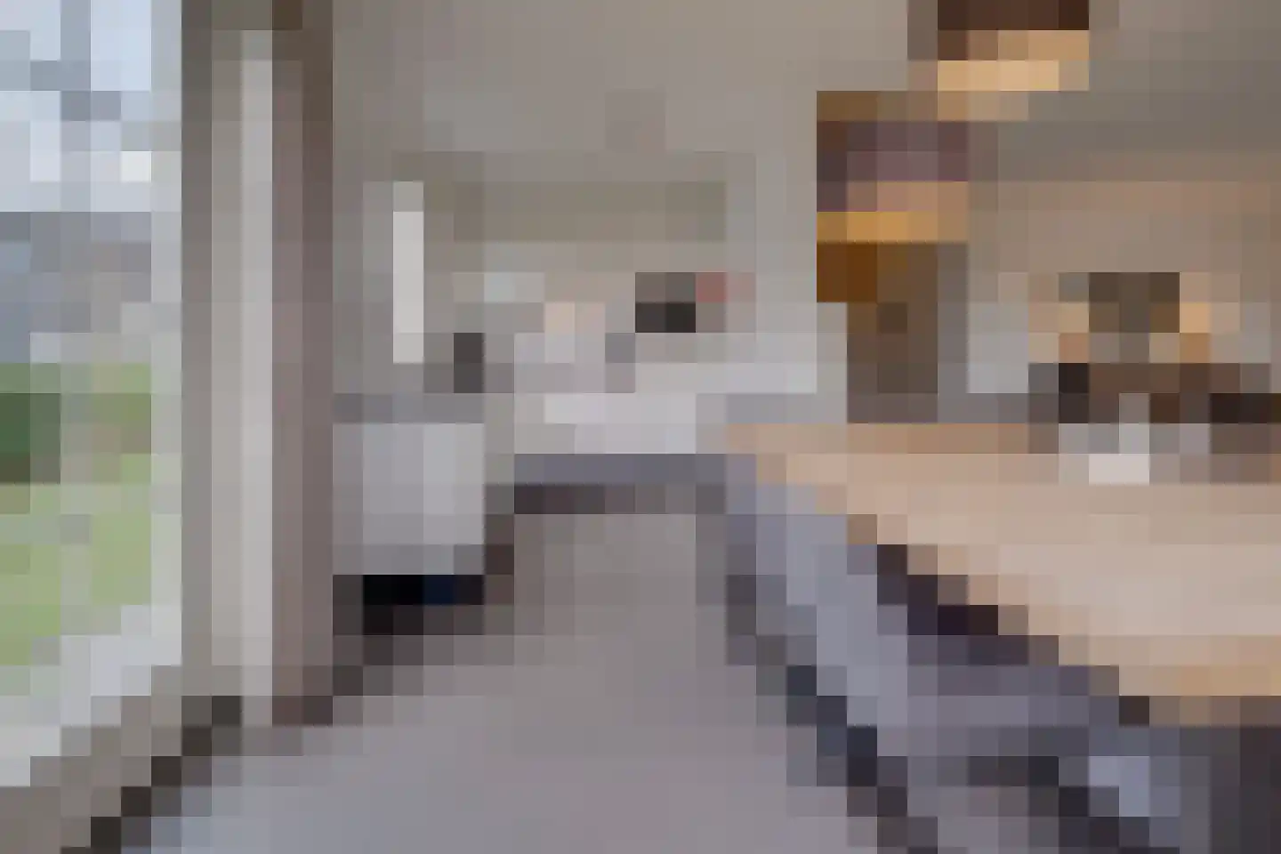 Hommelweg 2 R 834 Susteren thumbnail 16