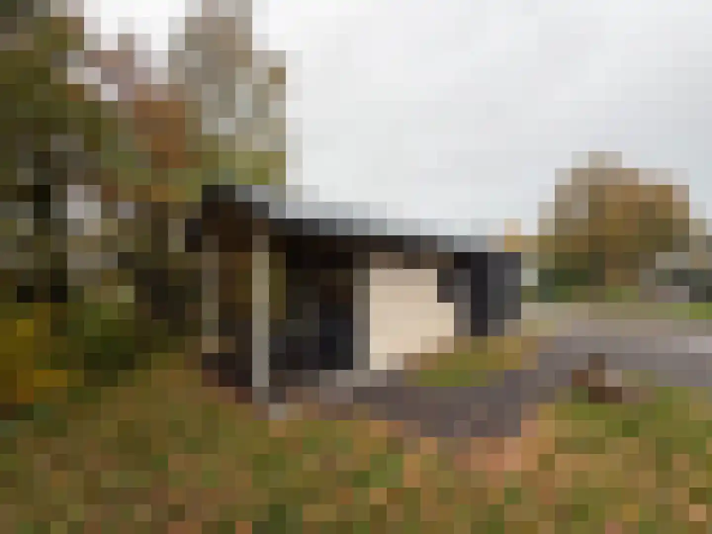 Hommelweg 2 R 907 Susteren thumbnail 10