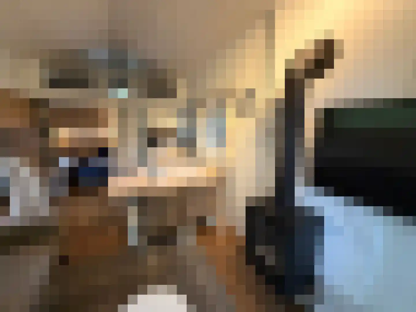 Hommelweg 2 R 907 Susteren thumbnail 4
