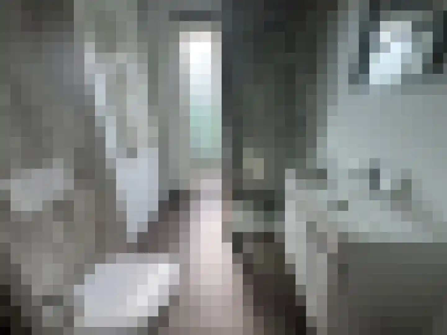 Hommelweg 2 R103 Susteren thumbnail 10