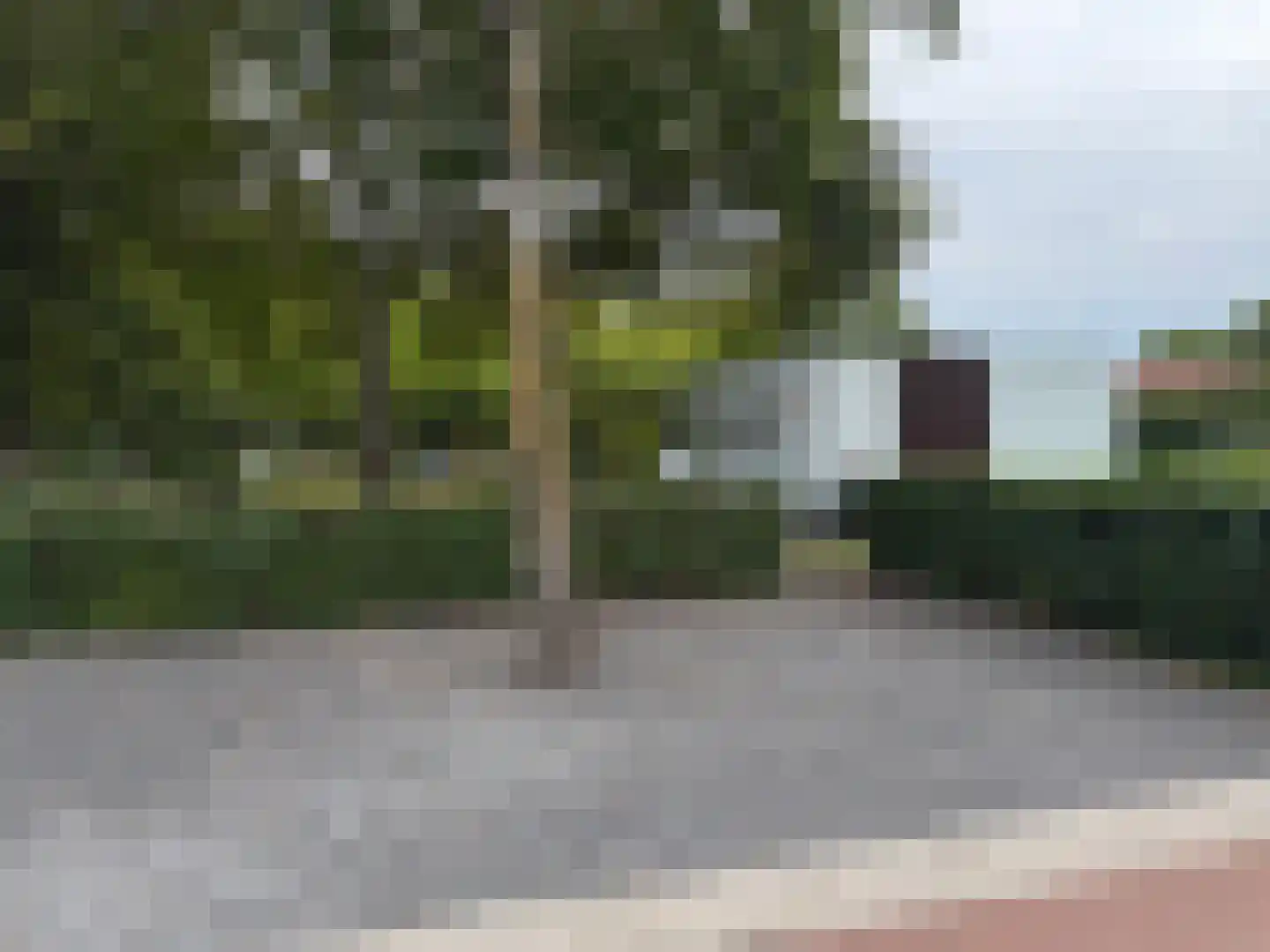 Hommelweg 2 R103 Susteren thumbnail 14