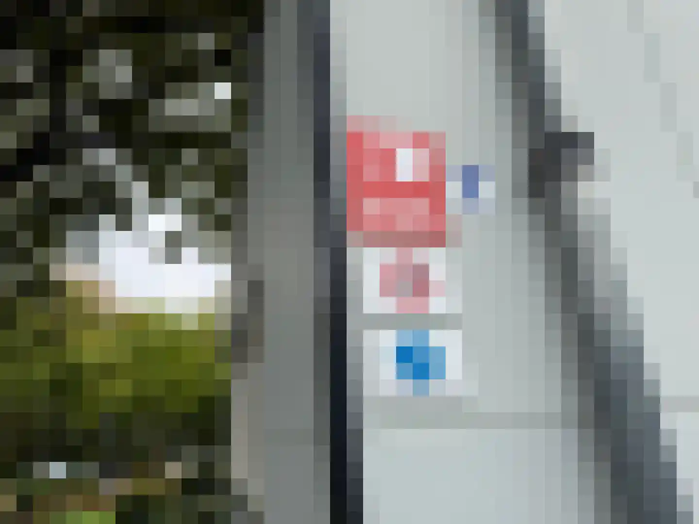 Hommelweg 2 R103 Susteren thumbnail 15