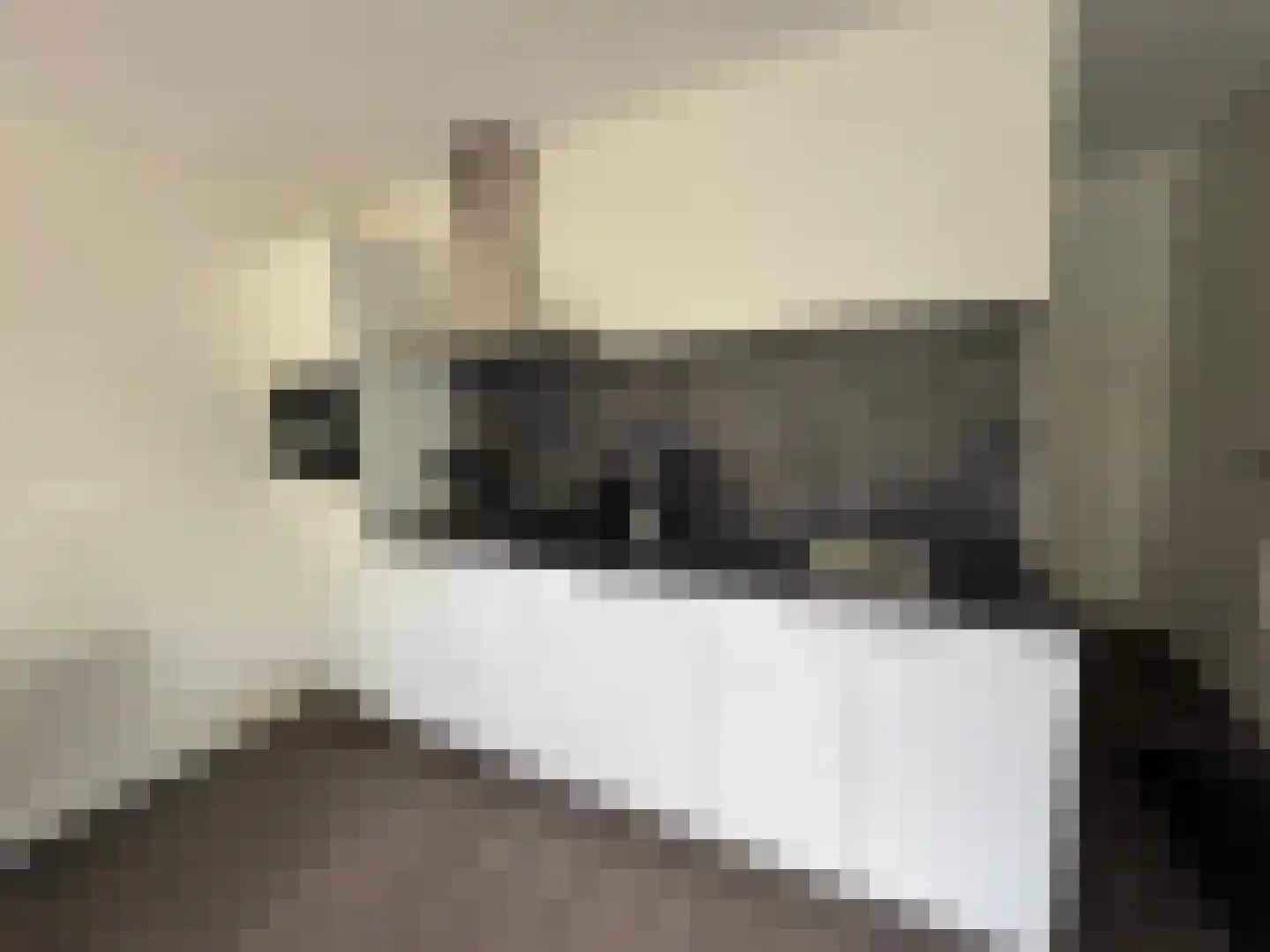 Hommelweg 2 R103 Susteren thumbnail 4