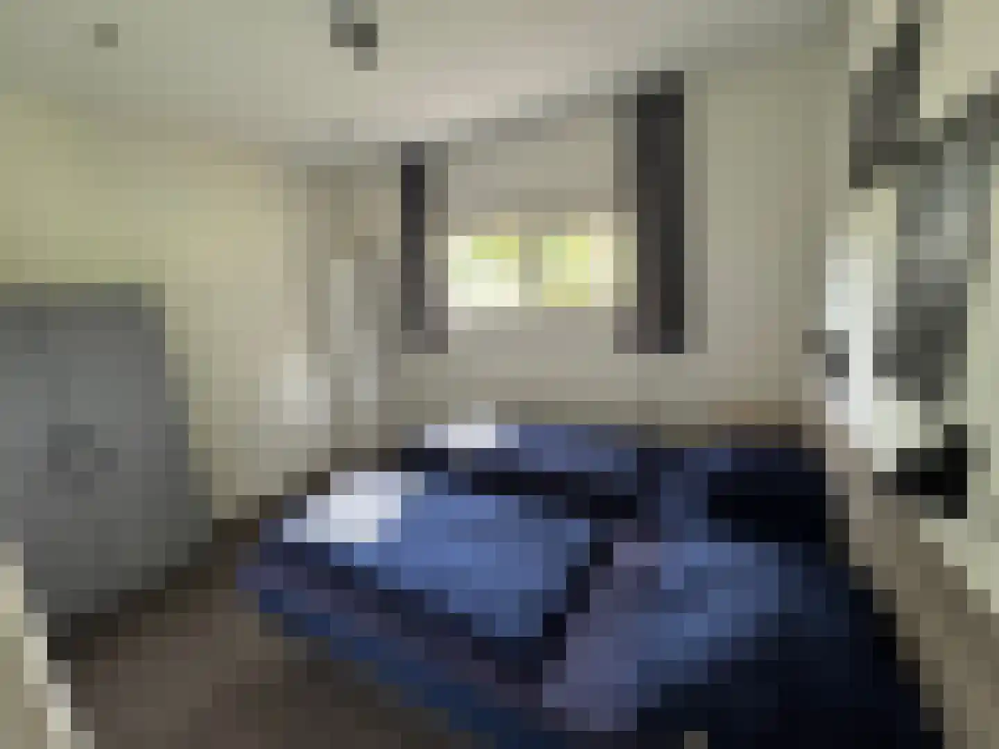 Hommelweg 2 R103 Susteren thumbnail 6