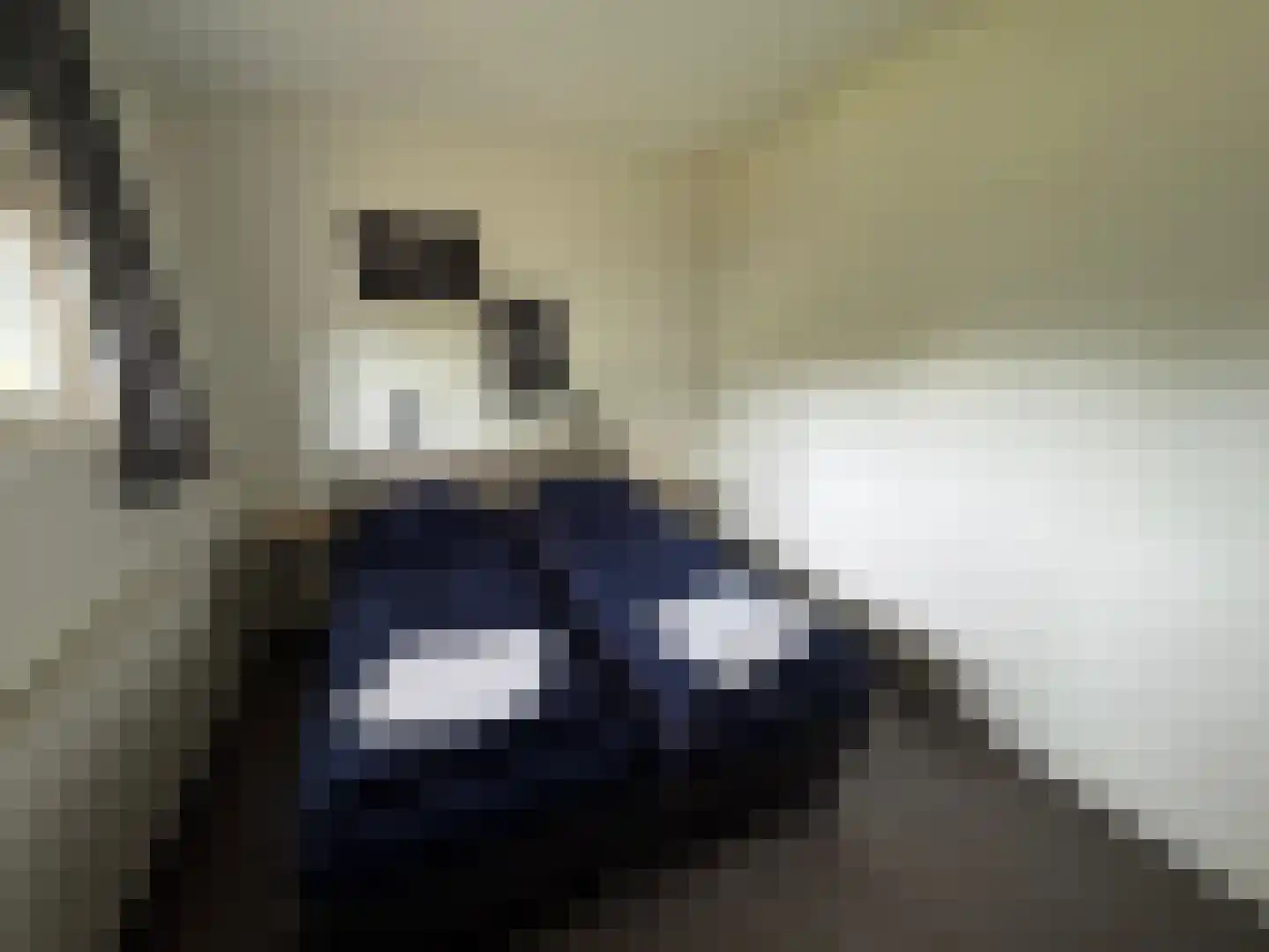 Hommelweg 2 R103 Susteren thumbnail 7