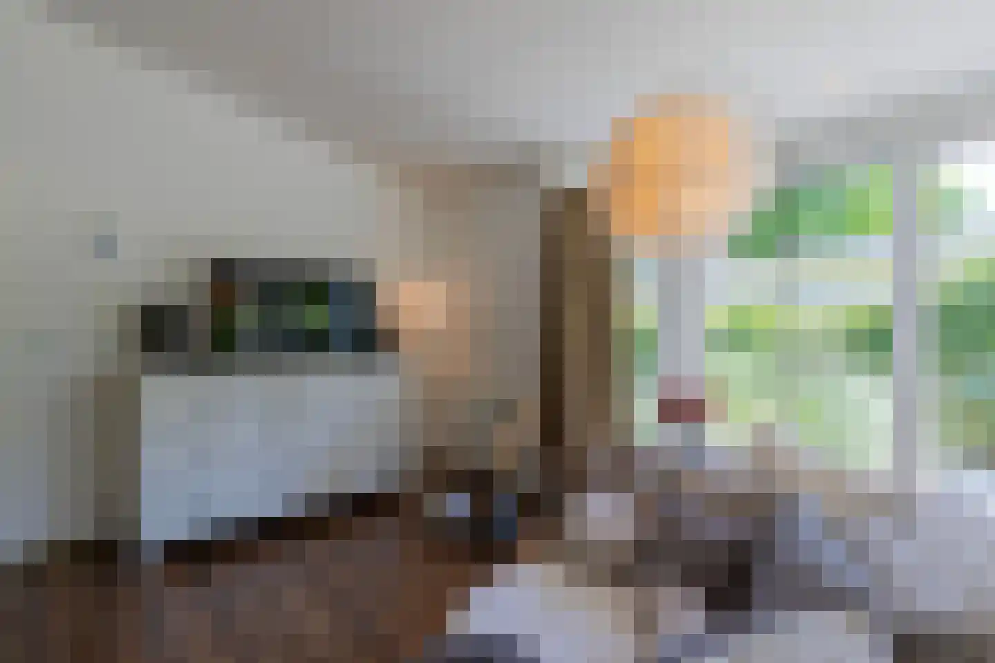 Hommelweg 2 Susteren thumbnail 18