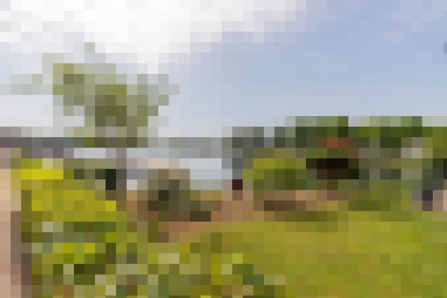 Hommelweg 2 Susteren thumbnail 33