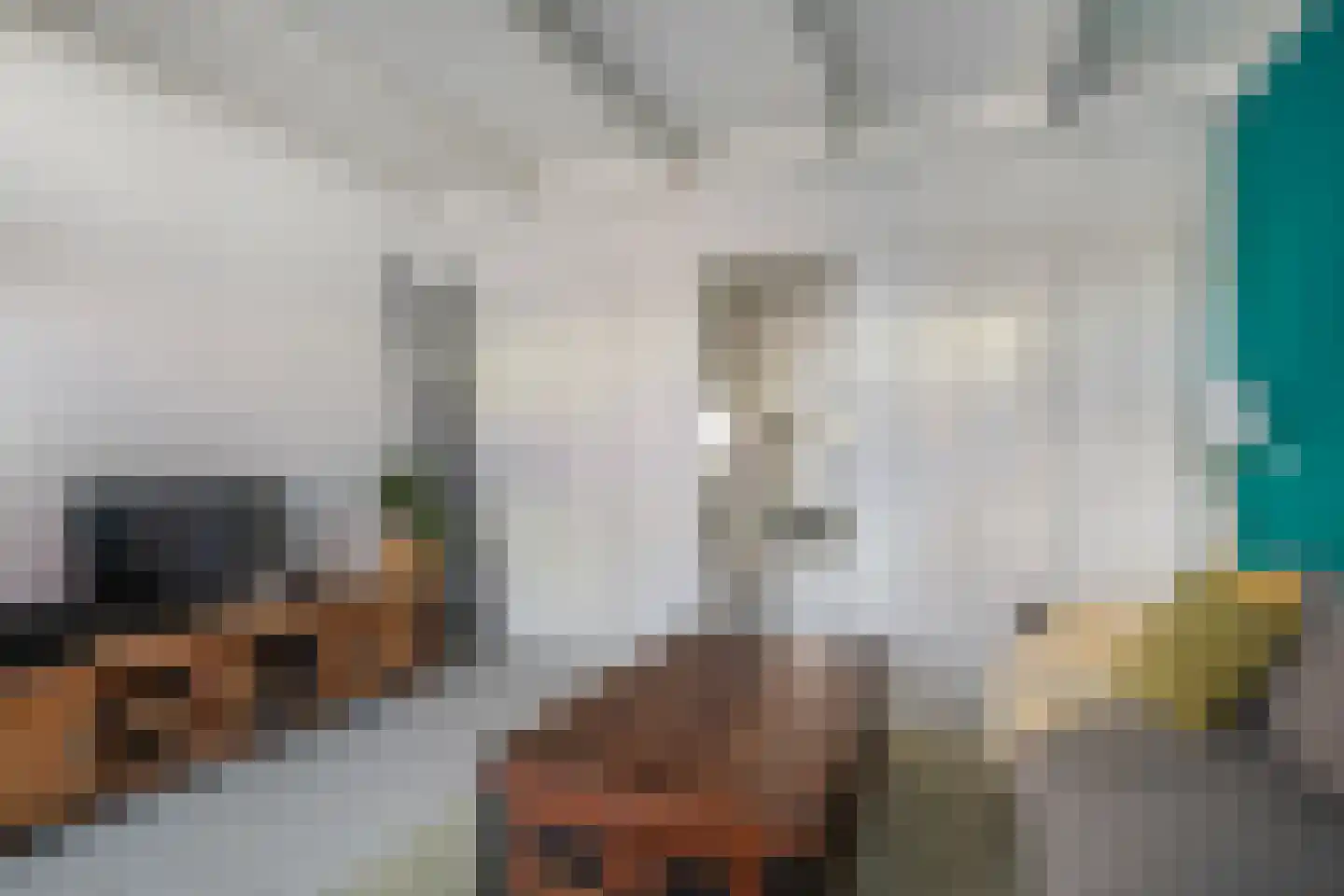 Hommemastrjitte 12 Dronryp thumbnail 11