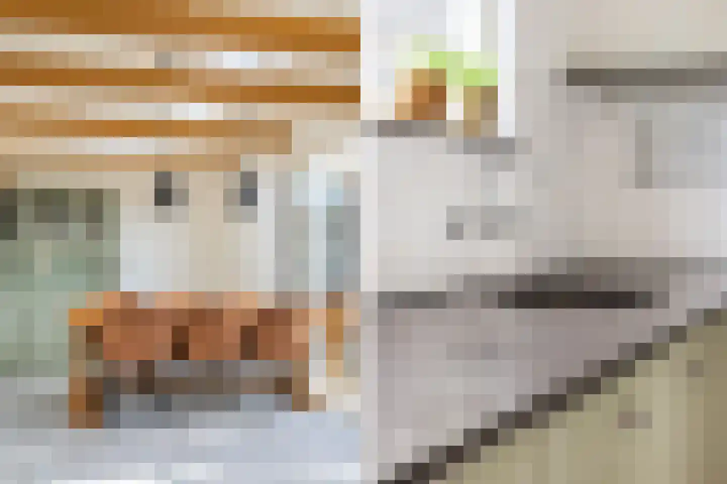 Hommemastrjitte 12 Dronryp thumbnail 16