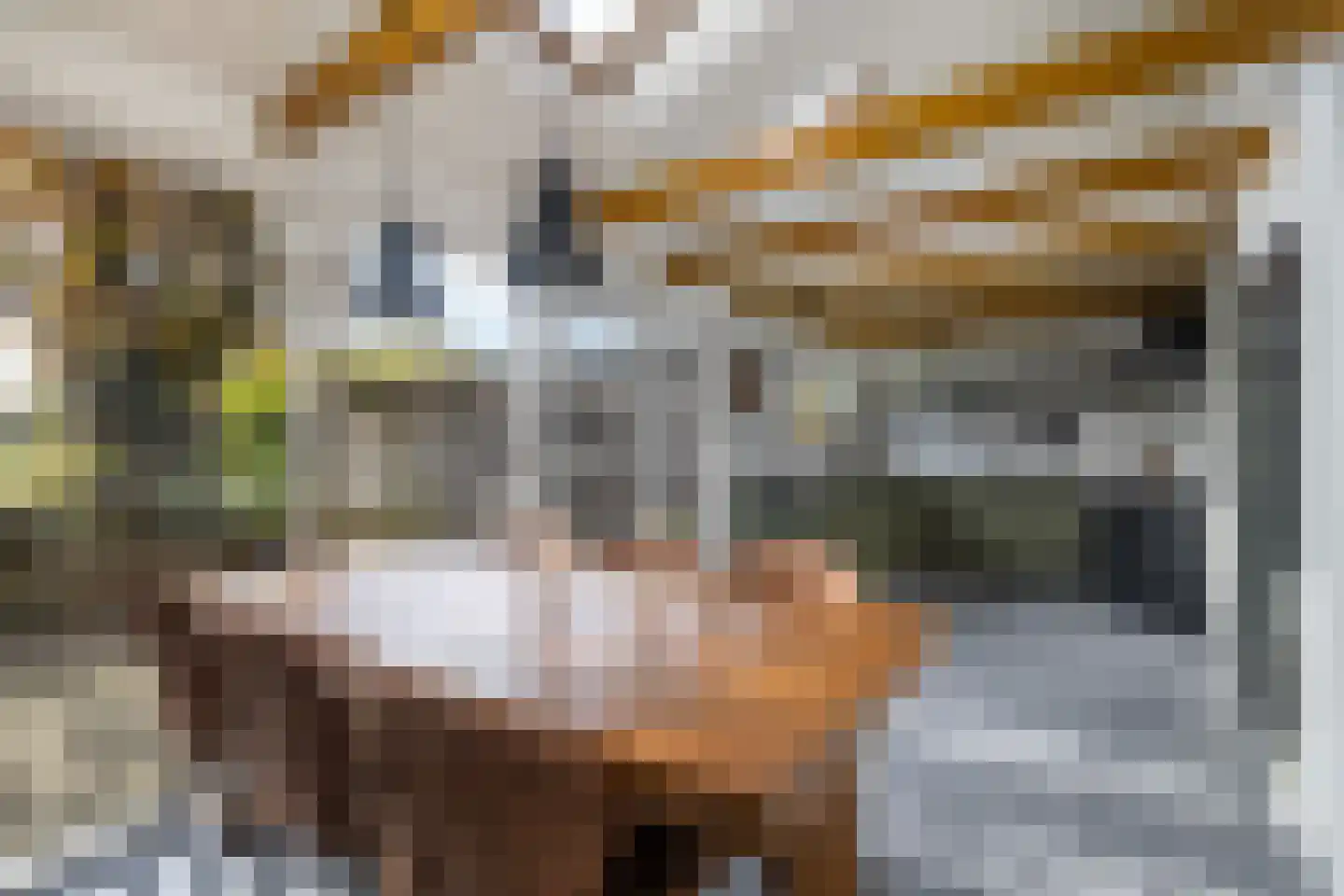 Hommemastrjitte 12 Dronryp thumbnail 18