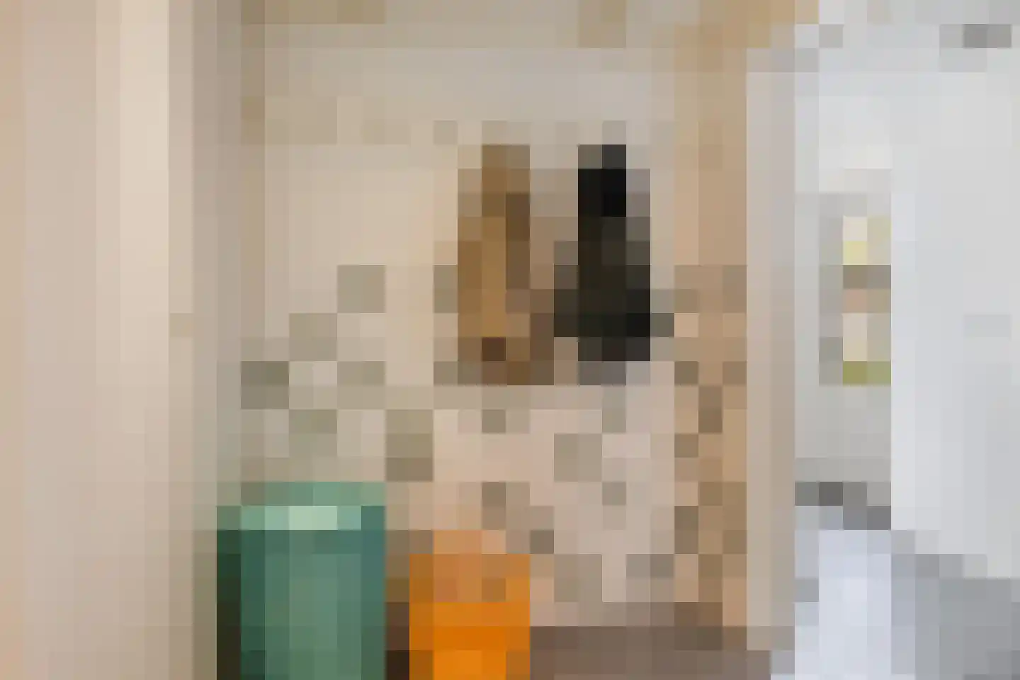 Hommemastrjitte 12 Dronryp thumbnail 21