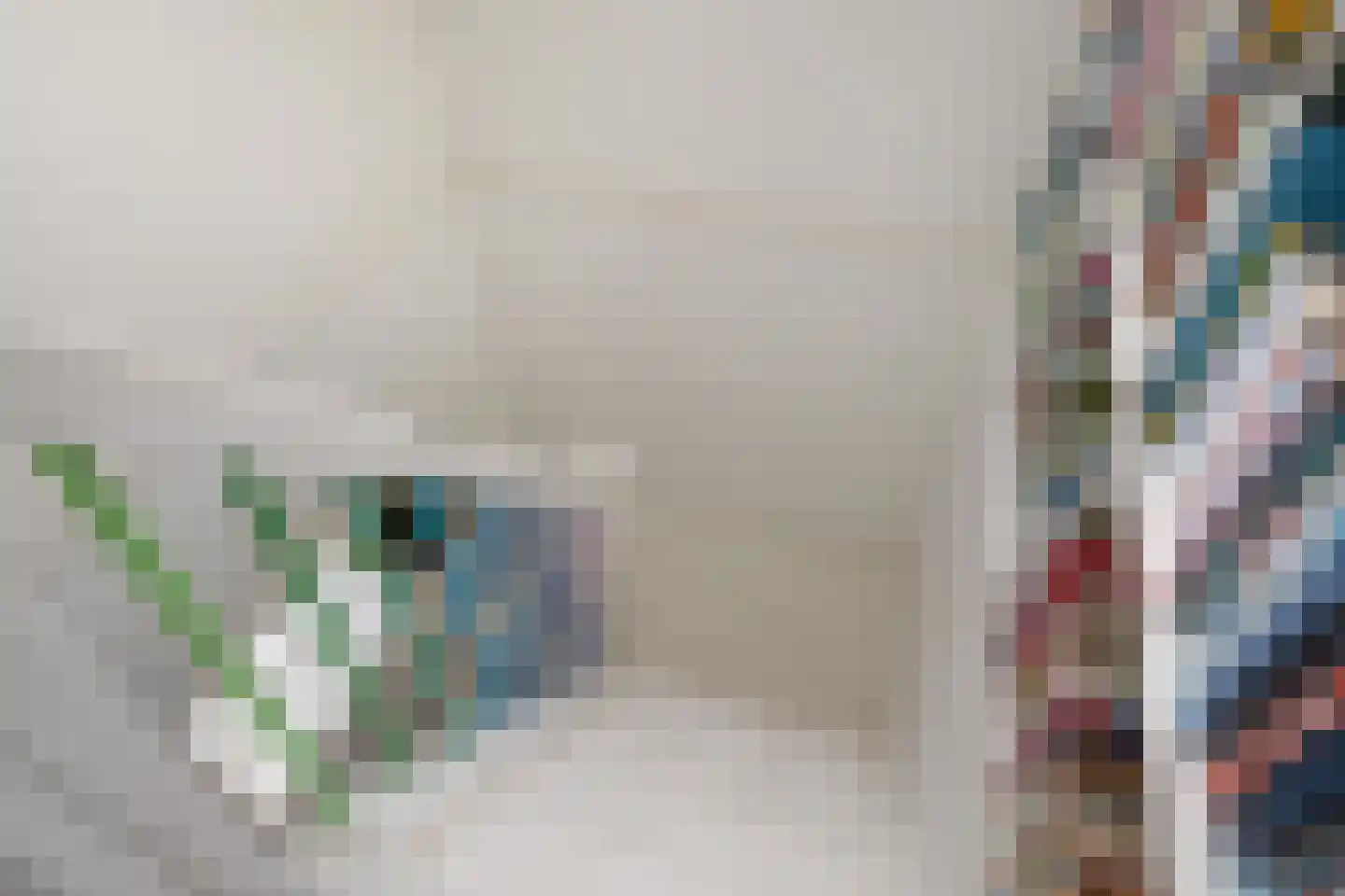 Hommemastrjitte 12 Dronryp thumbnail 26